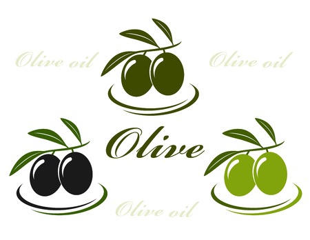 colorful isolated olive set on white backgroundのイラスト素材