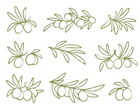 linear hand drawing olive icon set on white backgroundのイラスト素材