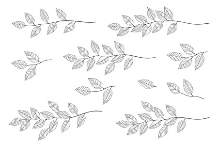 Branches with leaves set.のイラスト素材