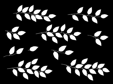 set of white isolated branchesのイラスト素材