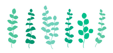 green eucalyptus branch and leaves deecorative setのイラスト素材