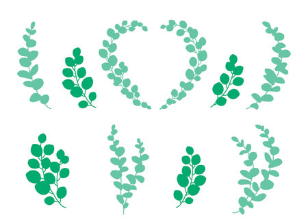 green eucalyptus branches with leaves silhouette setのイラスト素材