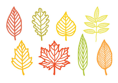 autumn colorful leaves hand drawn silhouettesのイラスト素材