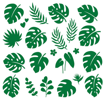 tropical green summer set of palm leaves, branches, monstera leaves silhouettes, flowers and botanical jungle decorationsのイラスト素材