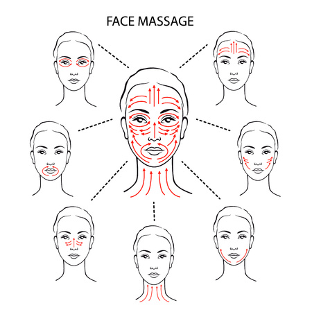 Set of face massage instructions isolated on white background. Vector illustration of massage lines on woman face. How to apply cream to the face and neck. Relaxing techniques.のイラスト素材