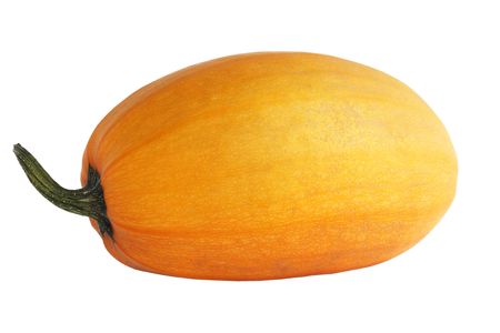 Single fresh pumpkin isolated on white background の写真素材