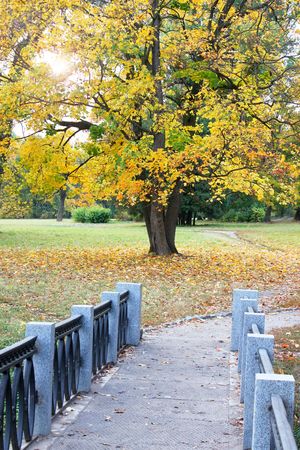 Bridge from the marble in the autumnal park の写真素材