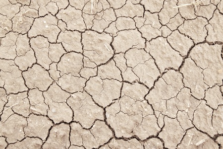 cracked clay ground into the dry season の写真素材