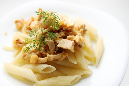 pasta with chicken and beef stroganoff with fresh dillの写真素材