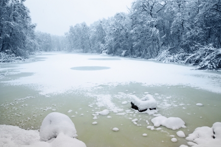 Lake in the woods covered with iceの写真素材