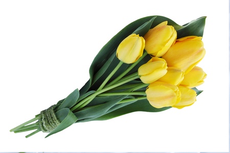 spring bouquet of yellow tulips, on a white backgroundの写真素材
