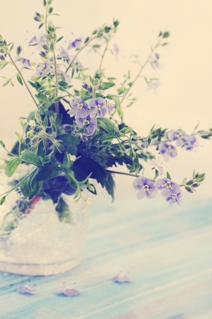 Bouquet of spring flowers violet wild, tintedの写真素材