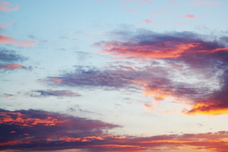 Evening sunset in pink and lilac tonesの写真素材