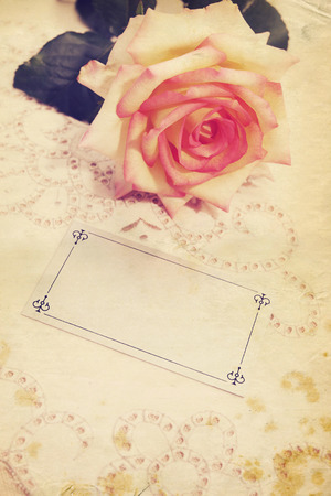 Still, a rose and a blank card,vintageの写真素材