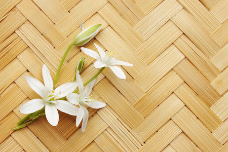 old postcard with lily on a wicker boardの写真素材