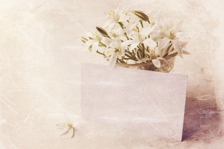 White delicate spring flowers on white boardの写真素材