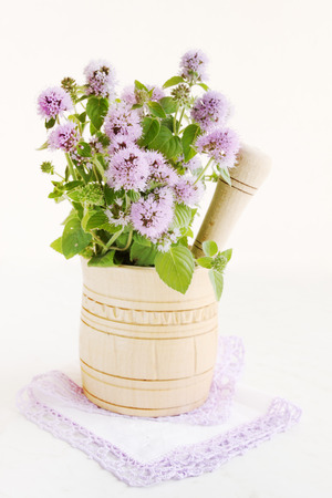 Blossoming bouquet of mint in a wooden mortarの写真素材