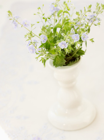 beautiful blue spring flower in a vase, vintageの写真素材
