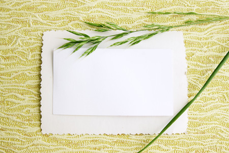 Old card on a green background with a blade of grassの写真素材