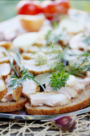 Canapes of Ukrainian lard with garlic and herbsの写真素材