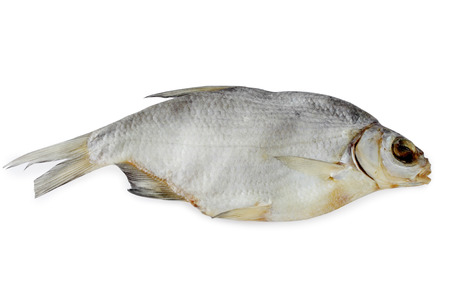 Bream, dry fish isolated on a white backgroundの写真素材