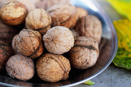 Organic walnuts on a metal plate, autumn harvest