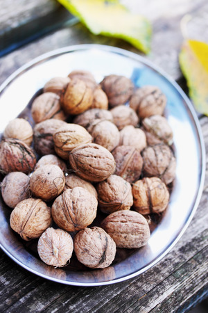 Organic walnuts on a metal plate, autumn harvestの写真素材
