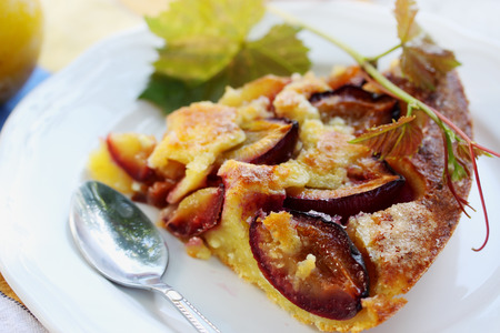 Cottage cheese casserole with fresh plums, summer dessertの写真素材