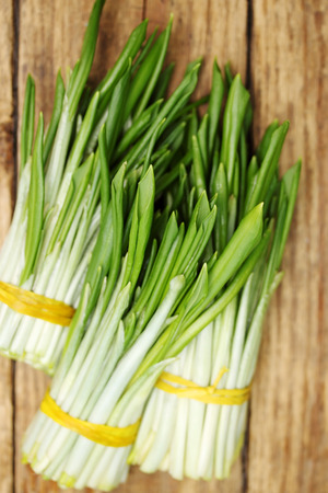 Bunches of ramson and boiled eggs for spring salad