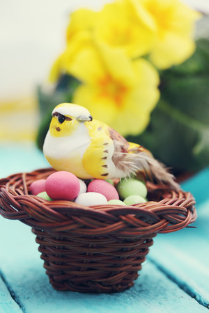 Bird sitting in a small basket on a pile of candiesの写真素材