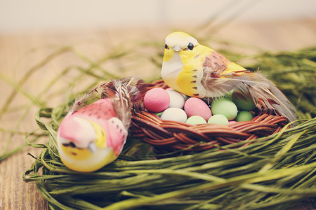 Bird sitting in a small basket on a pile of candiesの写真素材