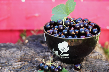 black currants in the black bowl on a wooden stumpの写真素材