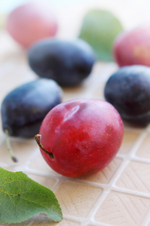 fresh juicy organic plumsの写真素材