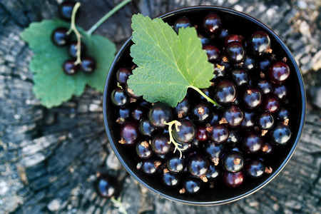 black currants in the black bowl on a wooden stumpの写真素材