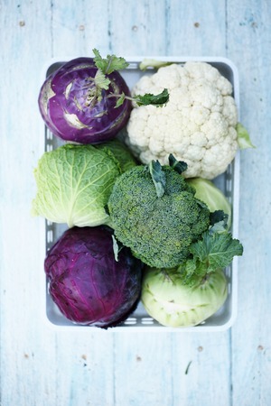 Collection of various types of cabbage in a boxの写真素材