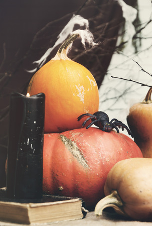 Halloween still life with pumpkins. Studio shotの写真素材
