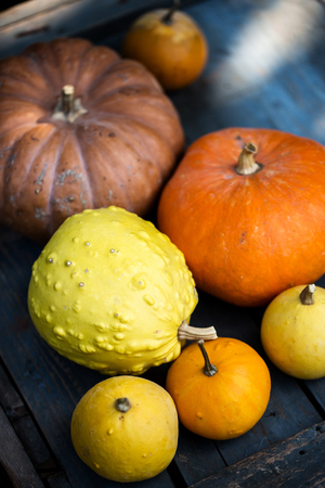 Pile of small decorative pumpkinsの写真素材