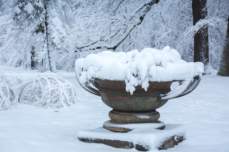 Beautiful winter snowy landscape in the parkの写真素材