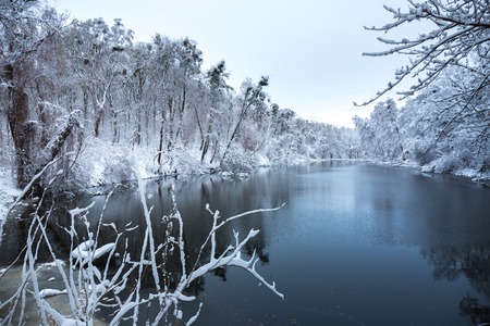 Beautiful winter snowy landscape in the parkの写真素材