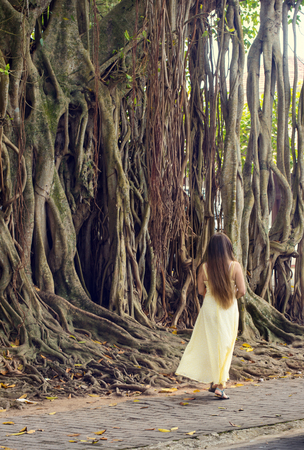 A woman is walking near a treeの写真素材