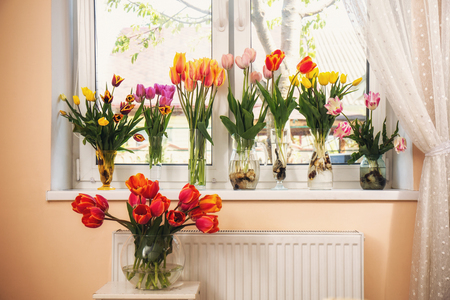 tulips in vases on the windowsillの写真素材