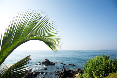 View from the mountainの写真素材