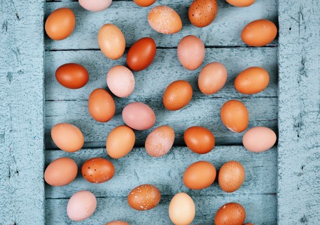 many eggs top viewの写真素材