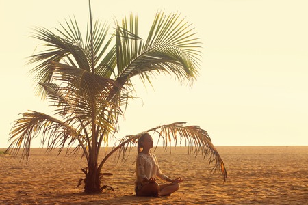 meditating under a palm treeの写真素材