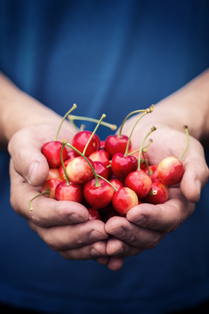 male hands with a red cherry, toned