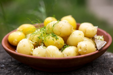 byoung potatoes with dill and garlicの写真素材