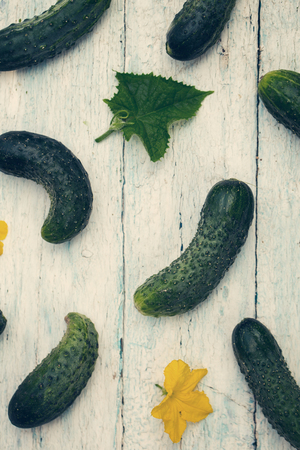 Background of cucumbers, tonedの写真素材