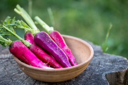 radish in a bowl on a stumpの写真素材