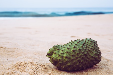 exotic fruit sausep on the sand near the ocean