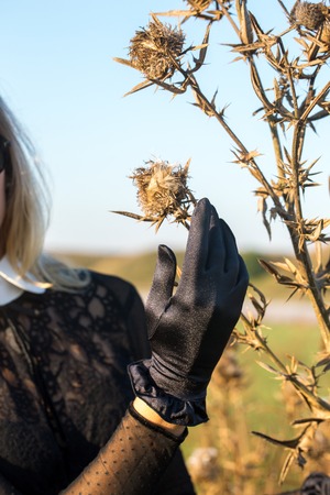 Hand in a black glove collects dried flowersの写真素材
